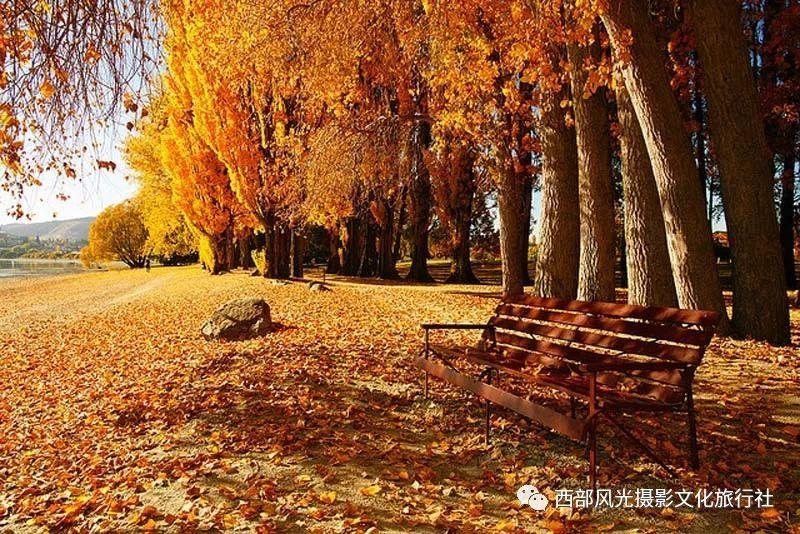 黎明大学成人高考录取分数线- 快速解答你的疑问